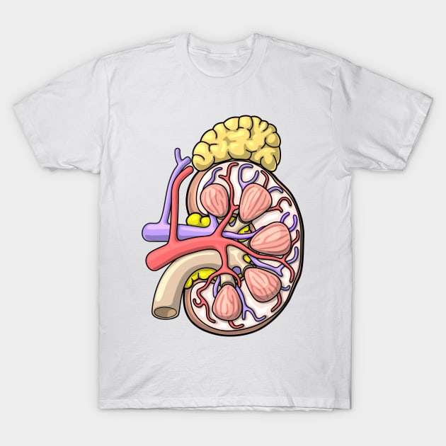 Human Kidney Anatomy Illustration - Nephrology Renal Diagram T-Shirt by taylorcustom